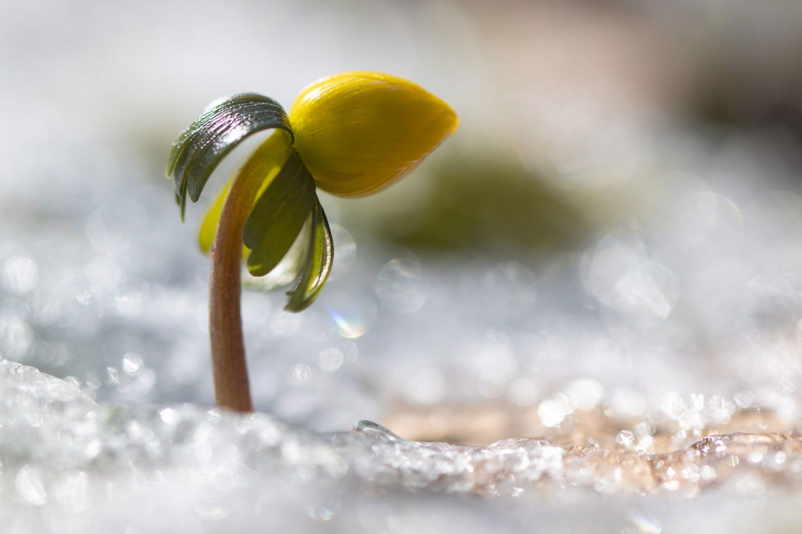 Bis 20 Grad und sogar noch wärmer kann es stellenweise werden. (Archivbild)