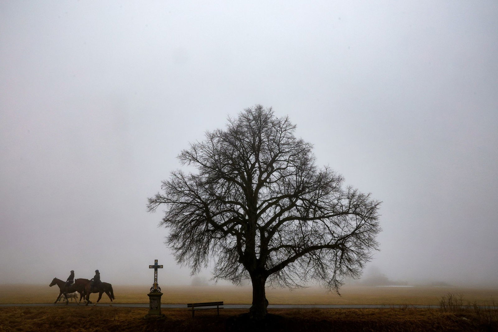 Ungemütliche, trübe Tage stehen bevor.