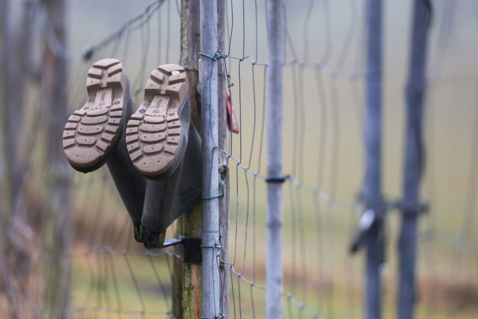 Regen, Regen und Dauerregen im Südwesten? (Symbolbild) 
