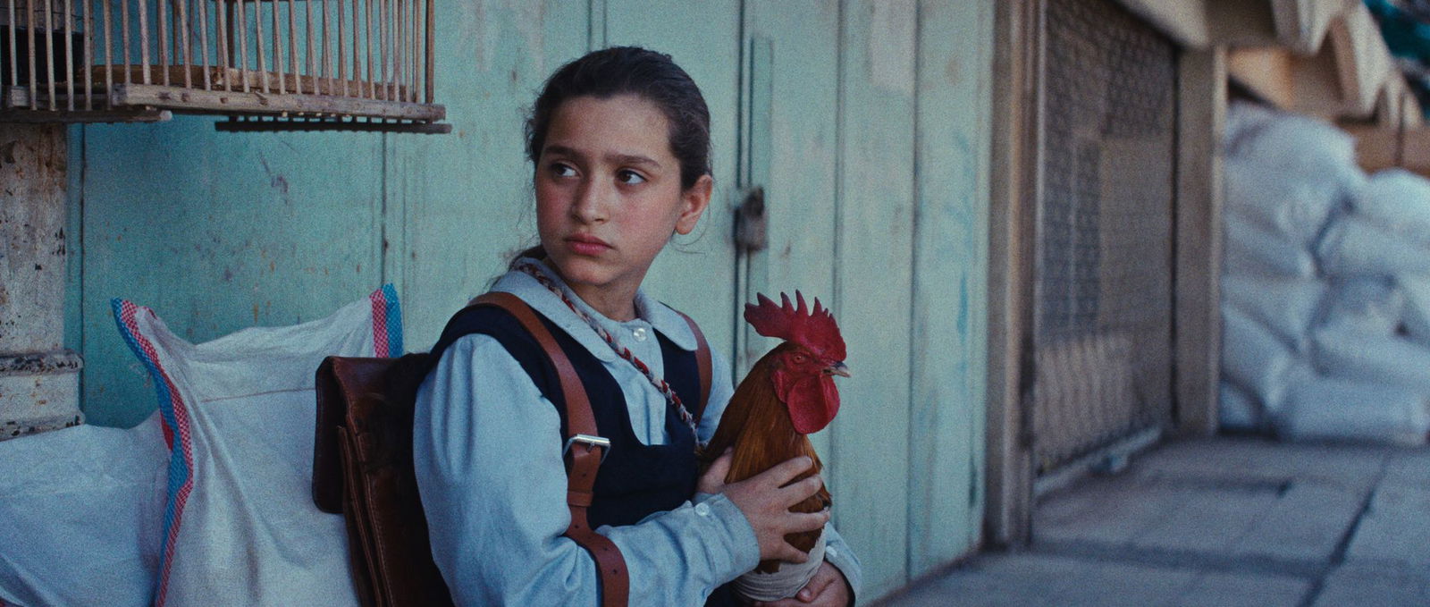 Lamia (Baneen Ahmed Nayyef) mit Hahn Hindi in einer Szene des Films «Ein Kuchen für den Präsidenten» (undatierte Filmszene). 