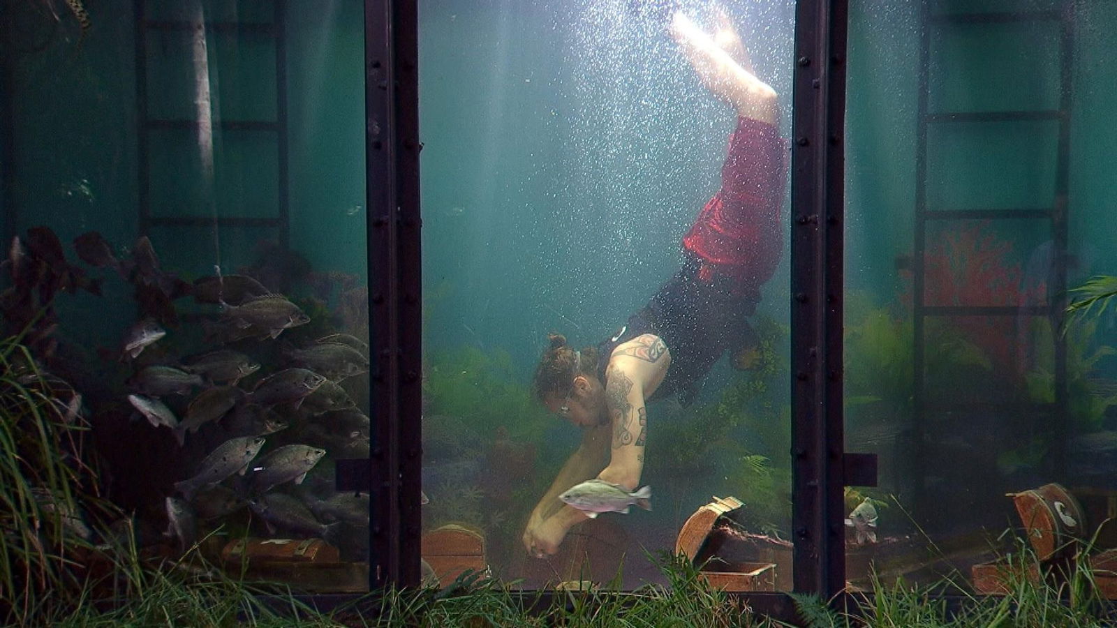 Gil Ofarim tauchte bei der Dschungelprüfung ab. 