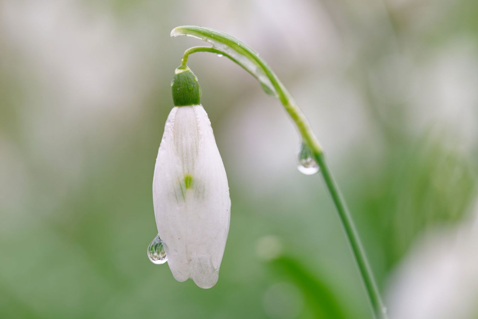 Nach frühlingshaften Temperaturen schlägt das Wetter im Südwesten um. (Archivbild)