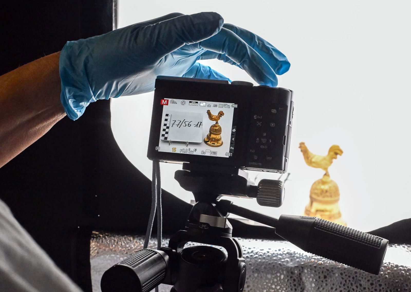 Vor dem Verpacken werden frische Aufnahmen gemacht.