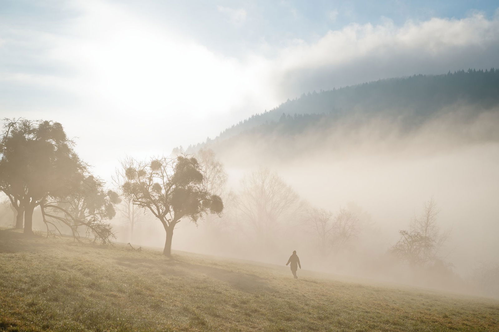 Wer Glück hat, erwischt ein wenig Sonne beim Sonntagsspaziergang. (Archivbild) 