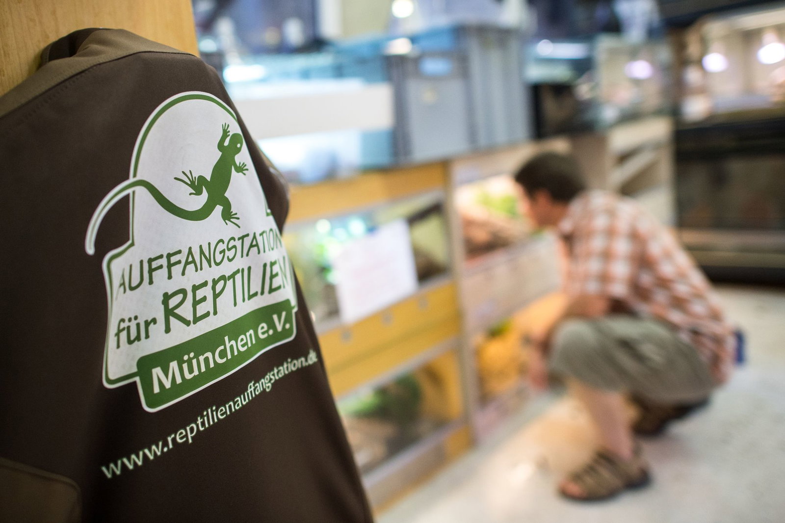 In der Auffangstation für Reptilien sollen die Schlangen jetzt aufgepäppelt werden - wenn es dafür nicht zu spät ist (Archivbild). 