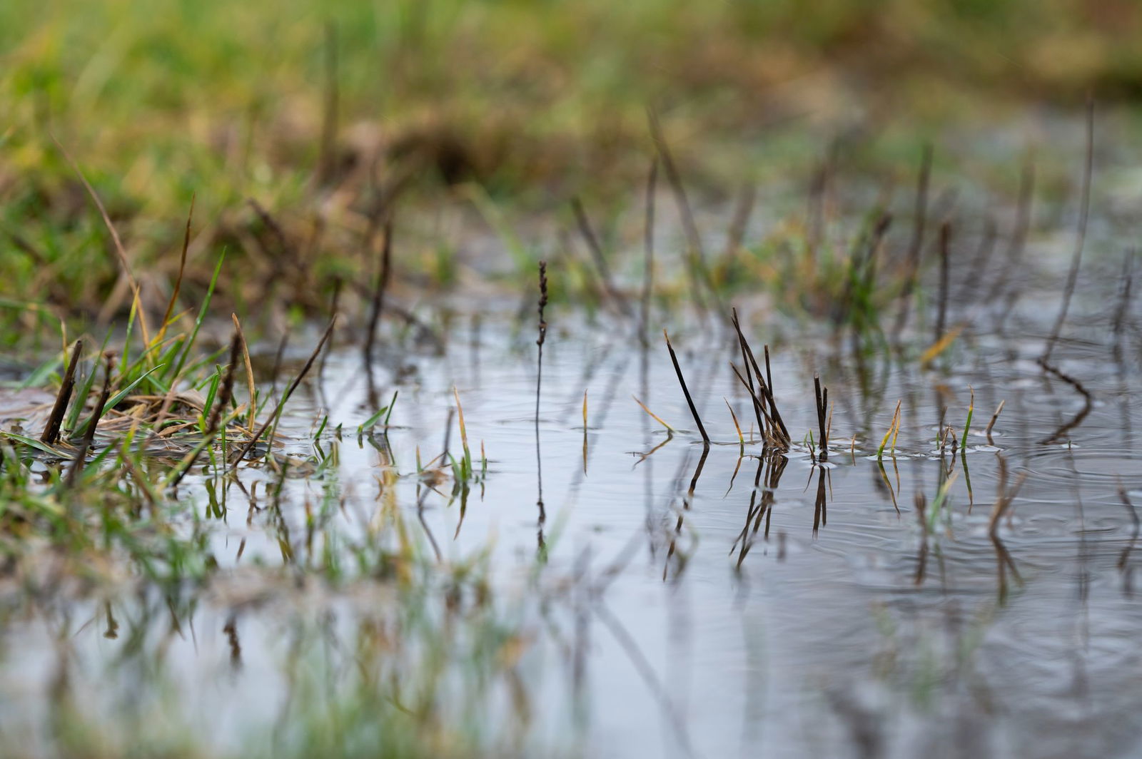 Die Hochwasservorhersagezentrale hat eine Vorwarnung herausgegeben. (Symbolbild)