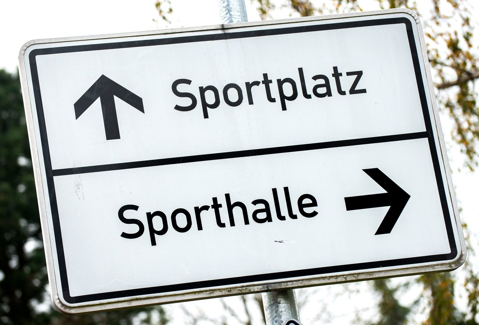 Sportvereine- und verbände profitieren vom Solidarpakt Sport V.