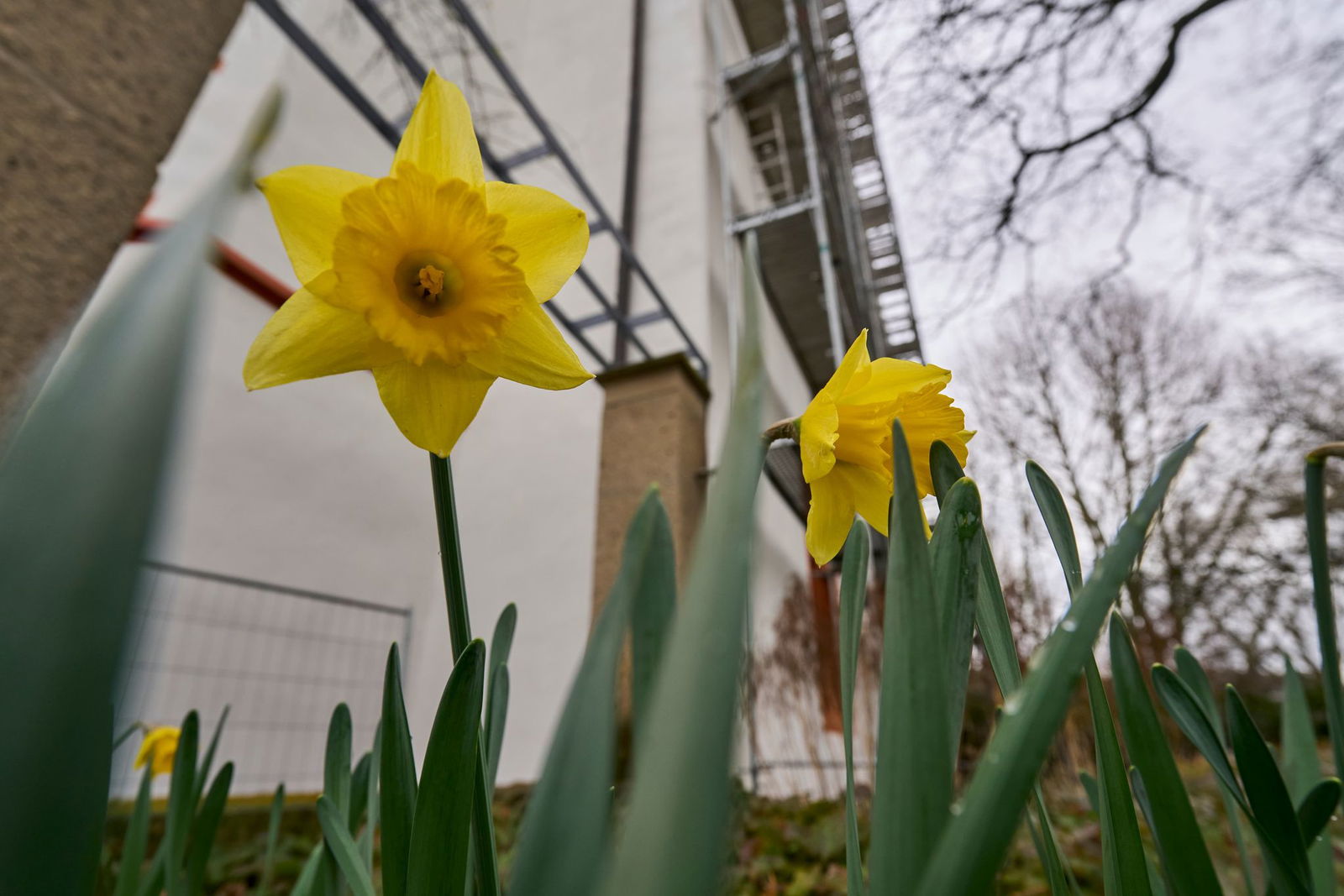 Die Temperaturen könnten bis zu 18 Grad erreichen. 