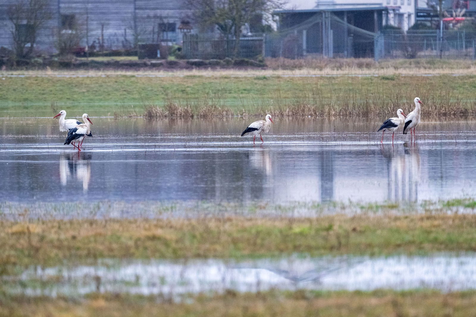 An eigenen Pegeln in Bayern ist die Meldestufe 3 überschritten.