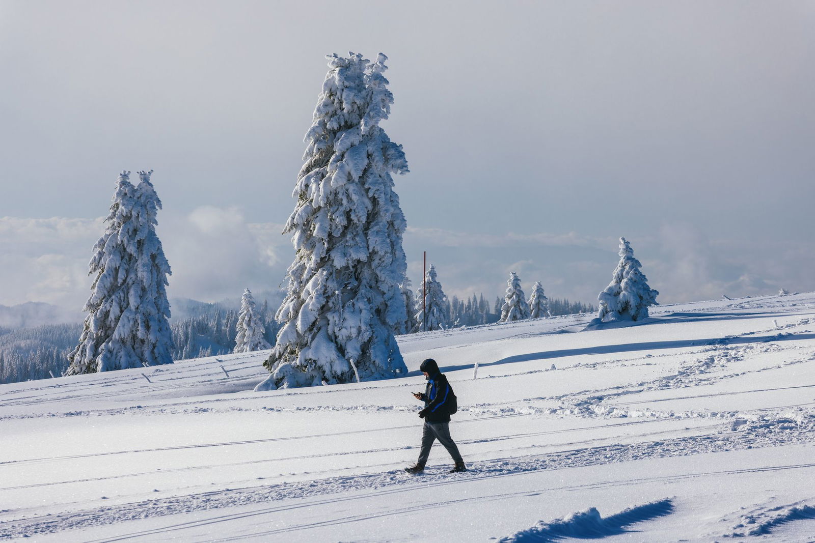 Anders als in einigen Nachbarländern kann man auf dem Feldberg ohne Sorge Skifahren. (Archivbild)