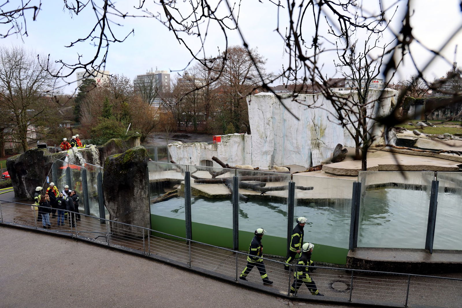 Die Feuerwehr füllte Eisbärenbecken wieder auf