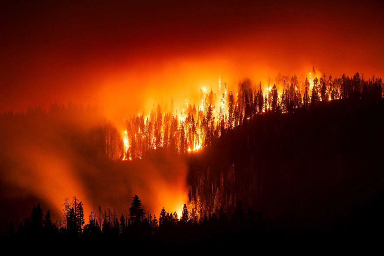 Nicht nur Verursacher, sondern auch Opfer der Klimakrise: Viele Regionen in den USA haben häufig mit Extremwetterereignissen wie Waldbränden zu kämpfen. Diese werden mit der Erderwärmung häufiger und heftiger. (Archivbild)