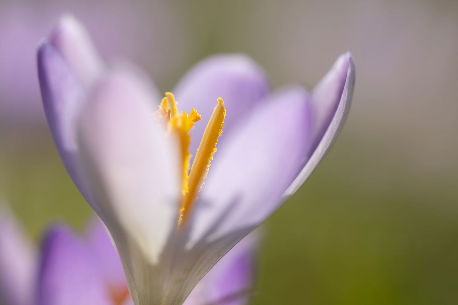 Am Freitag wackelt der Rekord für den wärmsten Februar-Tag.