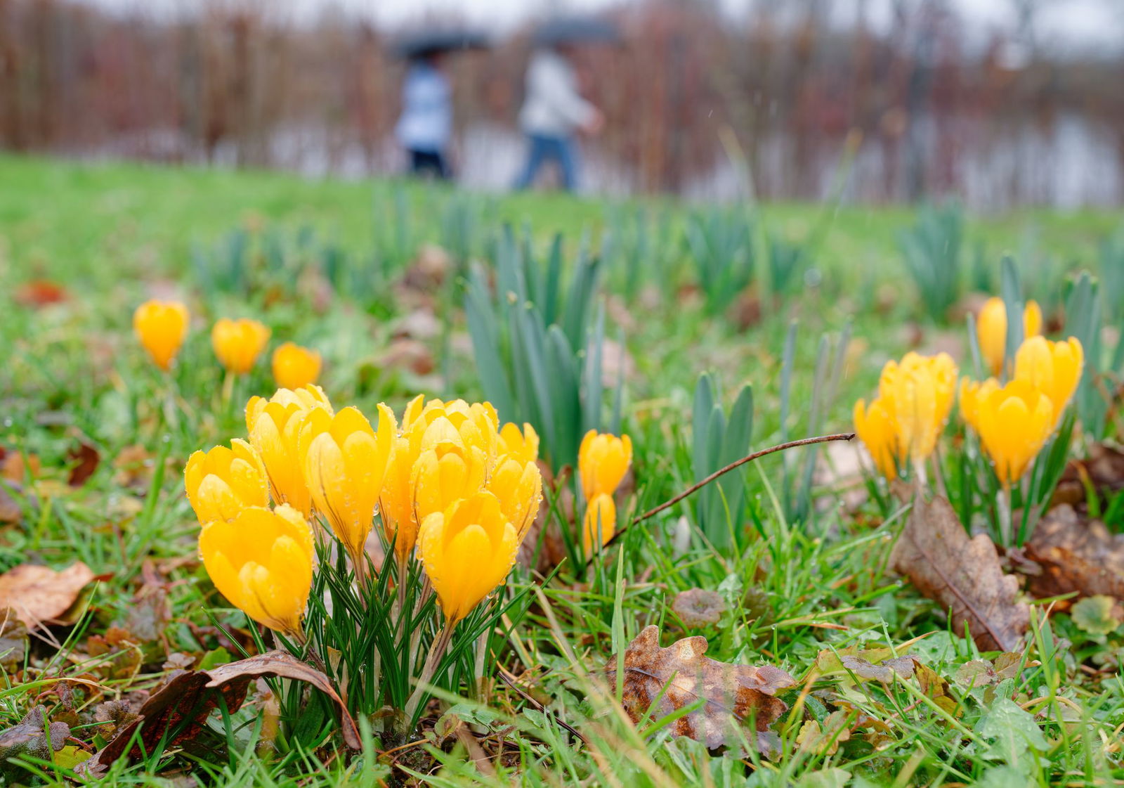 Es ist Frühling in Baden-Württemberg.