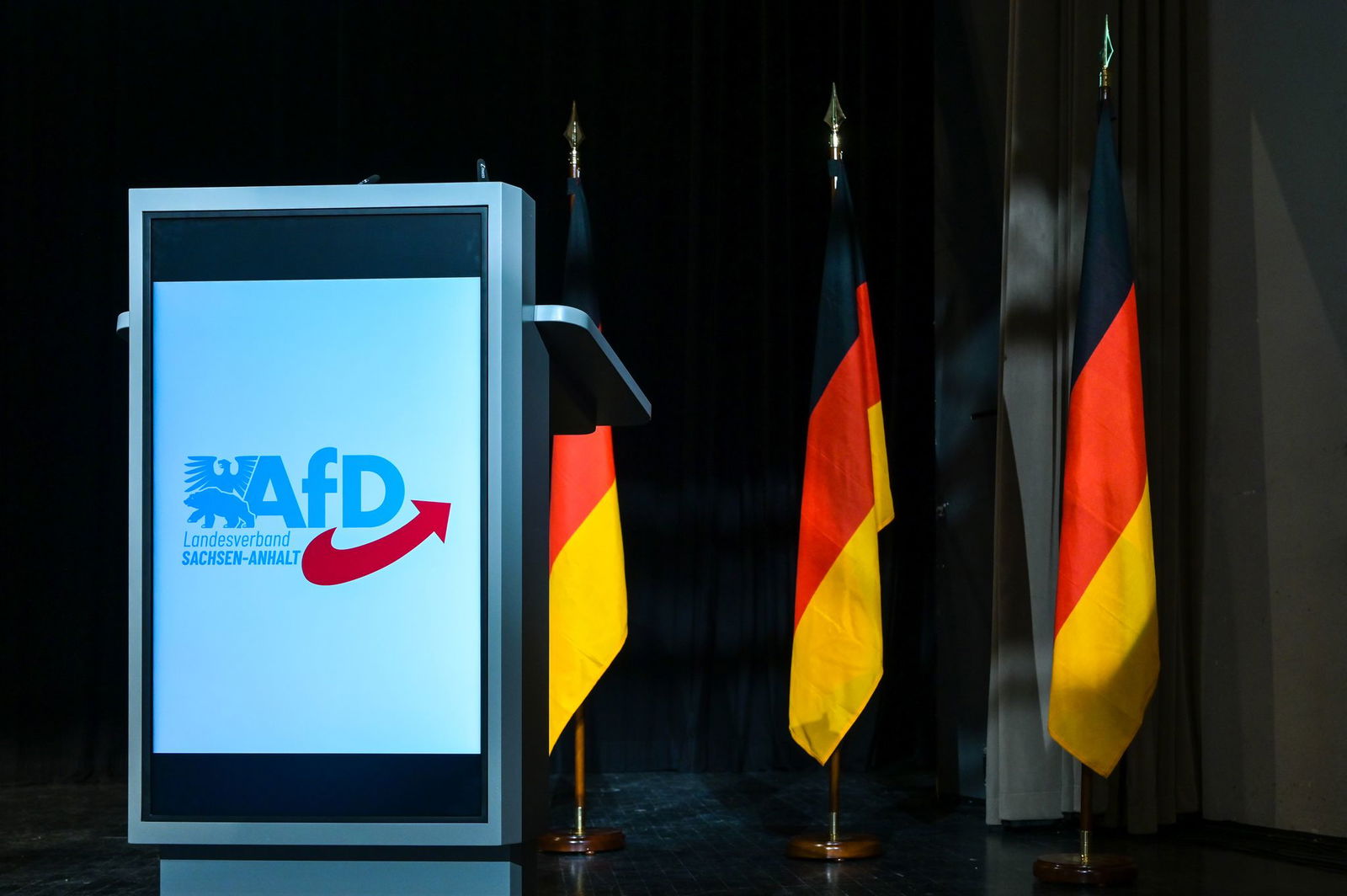 Insbesondere der AfD-Landesverband in Sachsen-Anhalt steht im Fokus. (Archivbild)