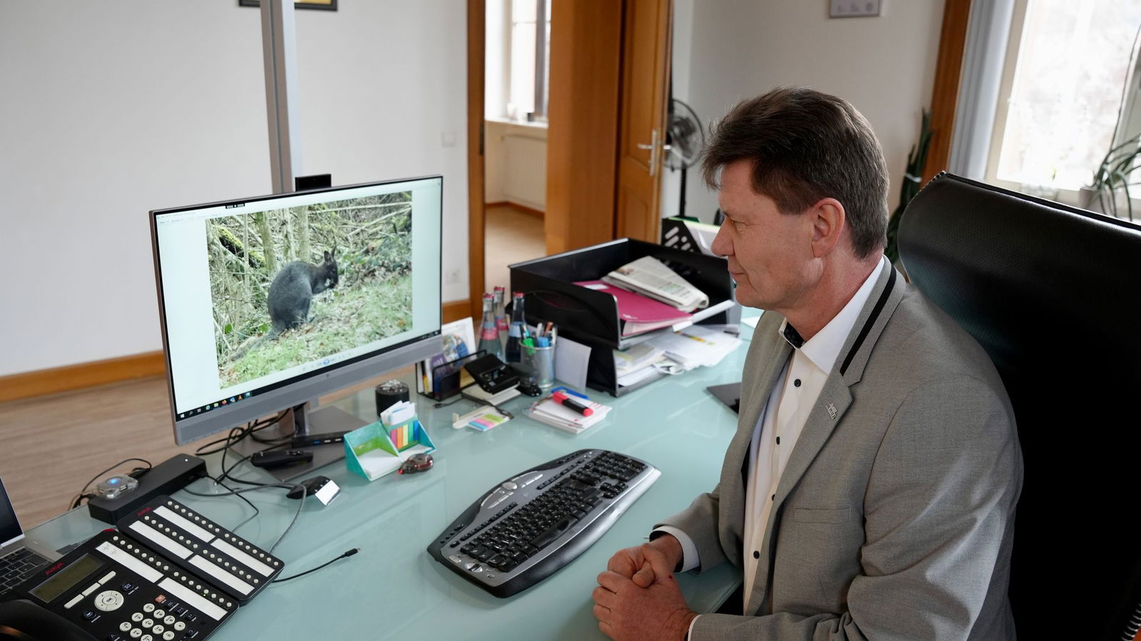 Harald Westrich war überrascht über die Kängurus in seinem Ort.