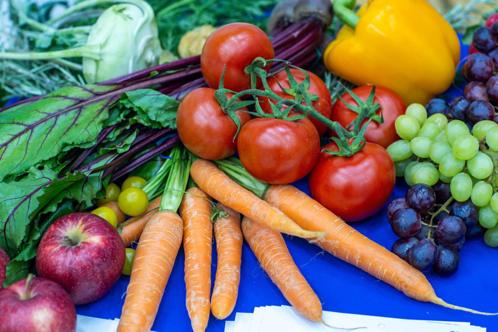 Frisches Obst und Gemüse soll es auch künftig für mehrere tausend Kinder im Saarland kostenlos geben. (Symbolbild)