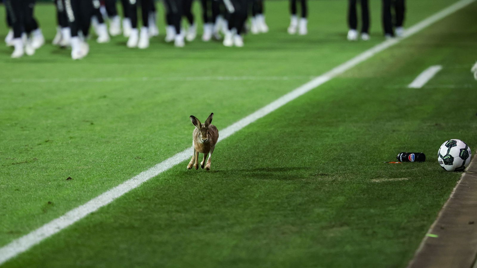 Er sorgte für Abwechslung in der Halbzeitpause.  