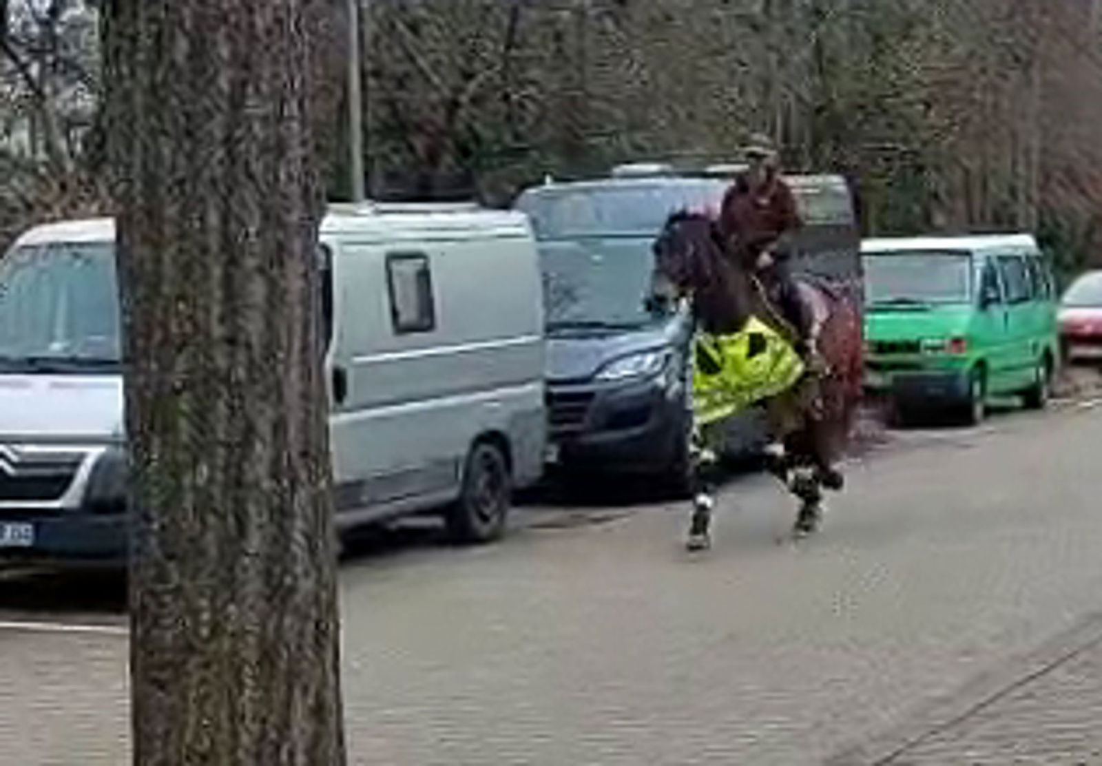 Das Pferd war im Trab so schnell, dass der Blitzer auslöste.