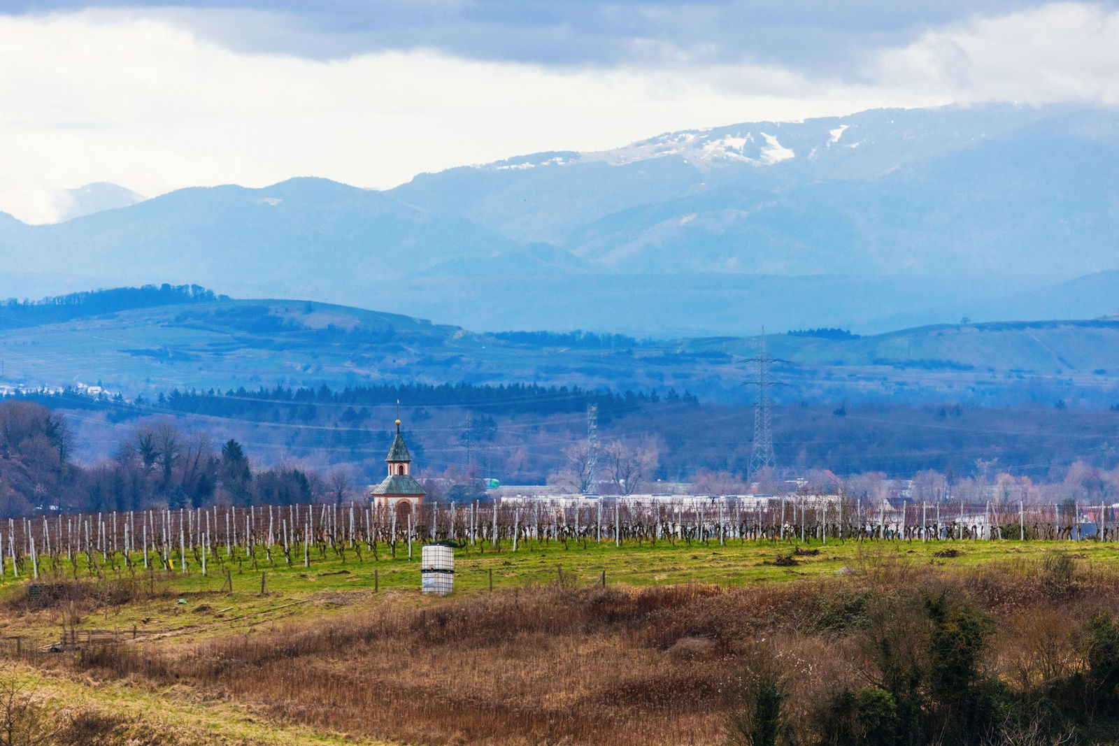 In den nächsten Tagen wird es frühsommerlich in Baden-Württemberg.