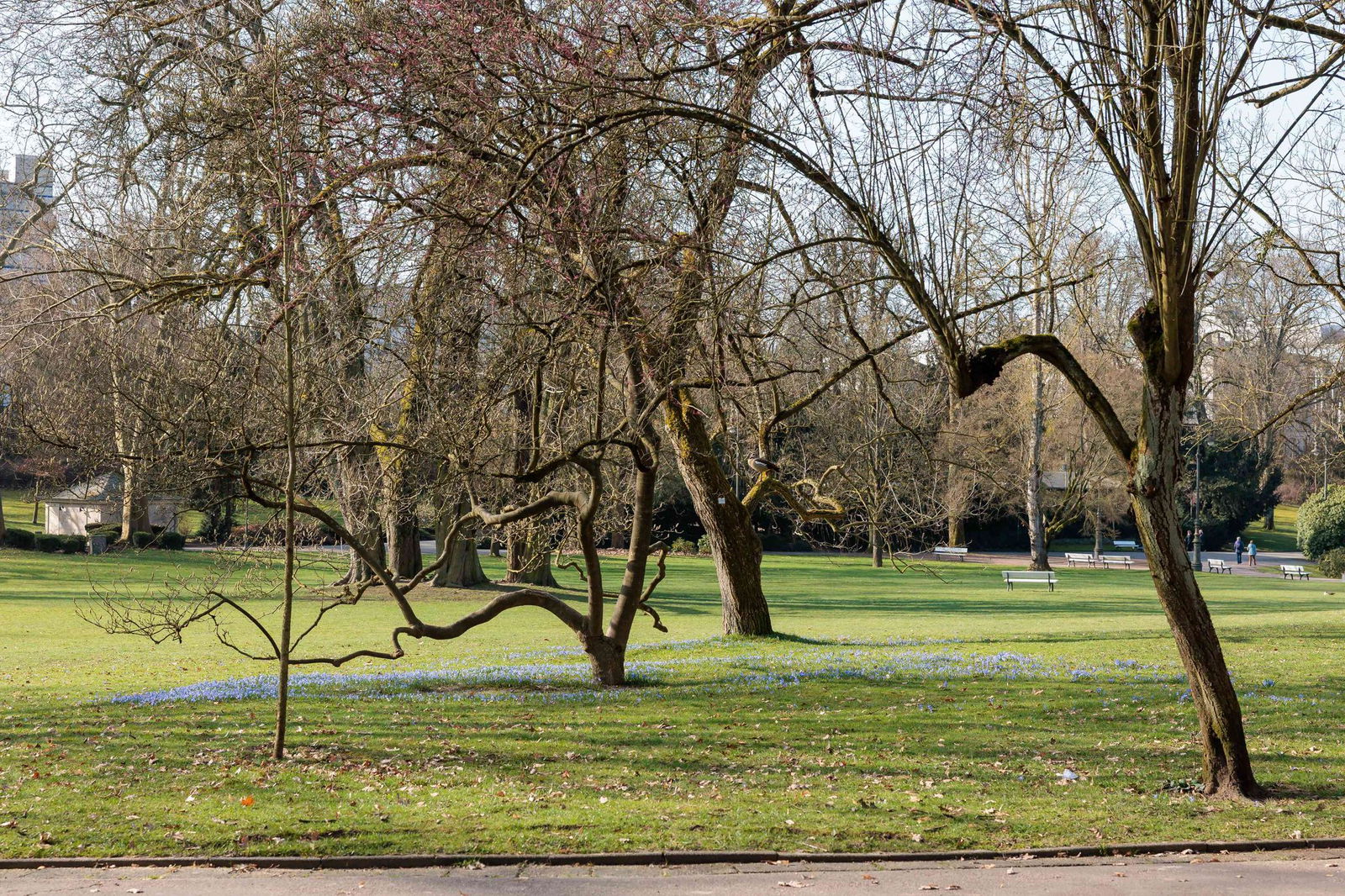 Sonnige Tage wechseln sich in Rheinland-Pfalz und im Saarland mit kühlen Nächten ab.