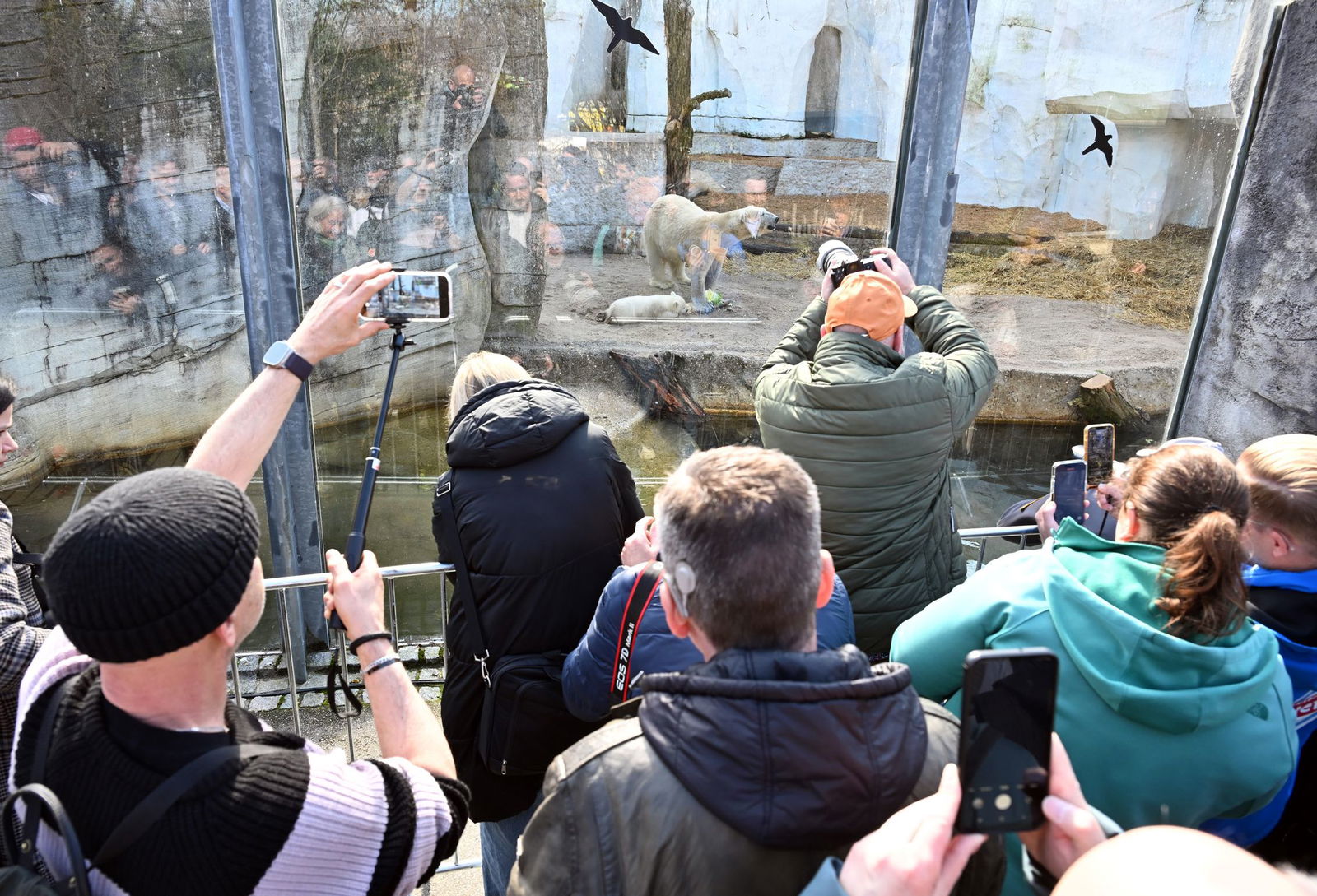 Im Karlsruher Zoo wurde in der Nacht Müll in etliche Gehege geworfen. (Archivbild)