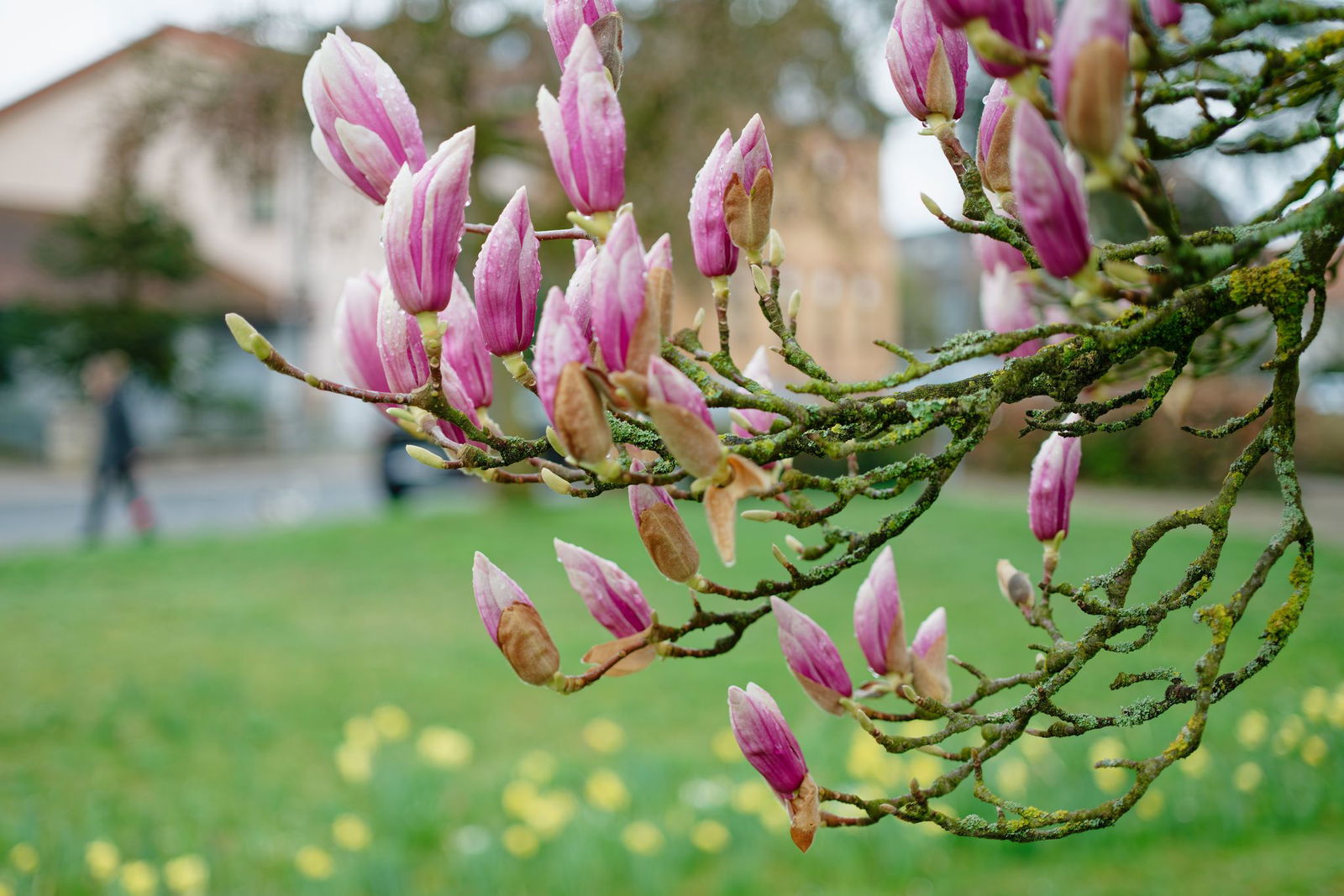 Die Sonne bleibt Baden-Württemberg noch etwas erhalten. (Symbolbild)