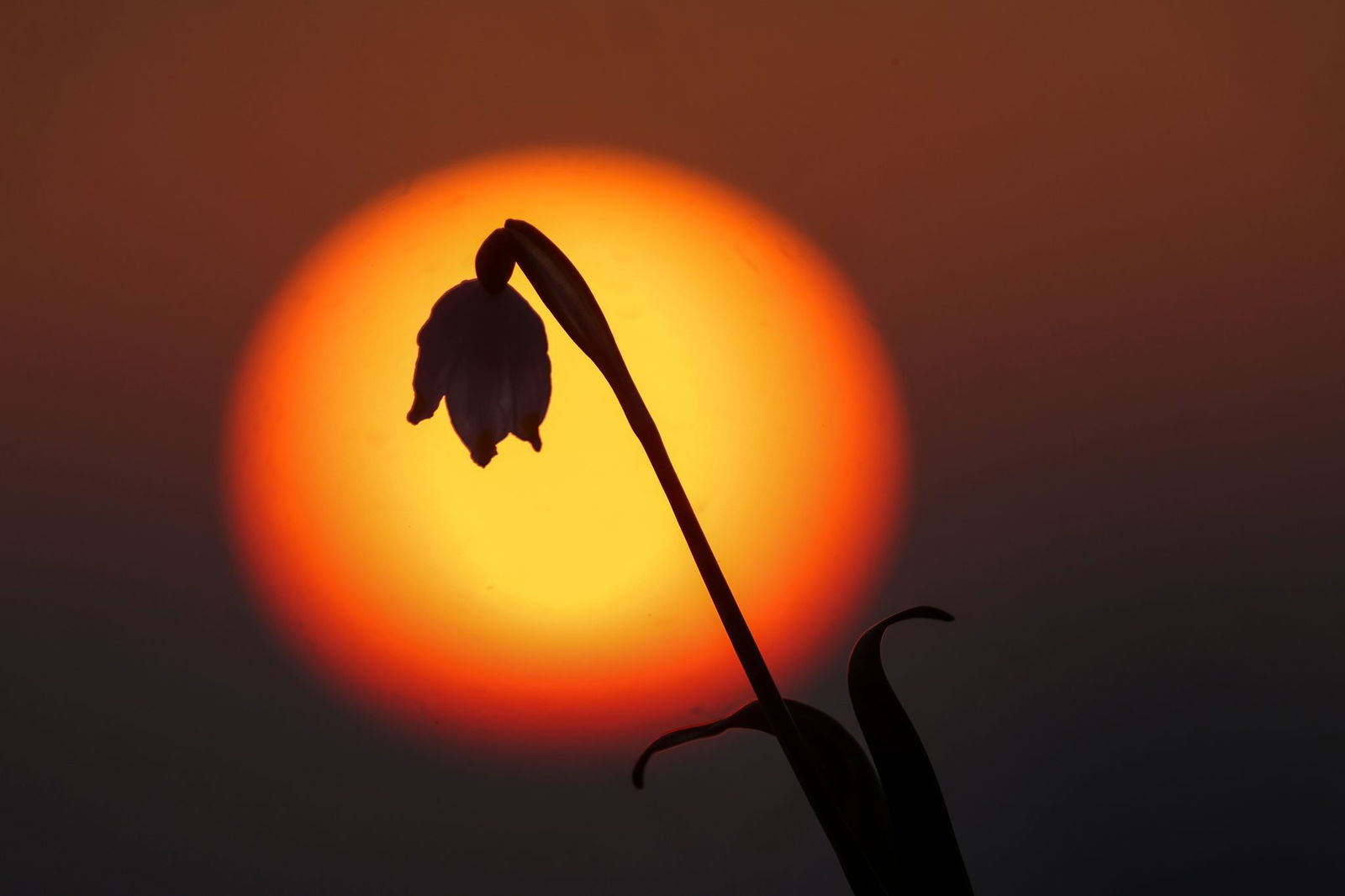 Es bleibt sonnig und bei leuchtenden Farben beim Sonnenaufgang. 