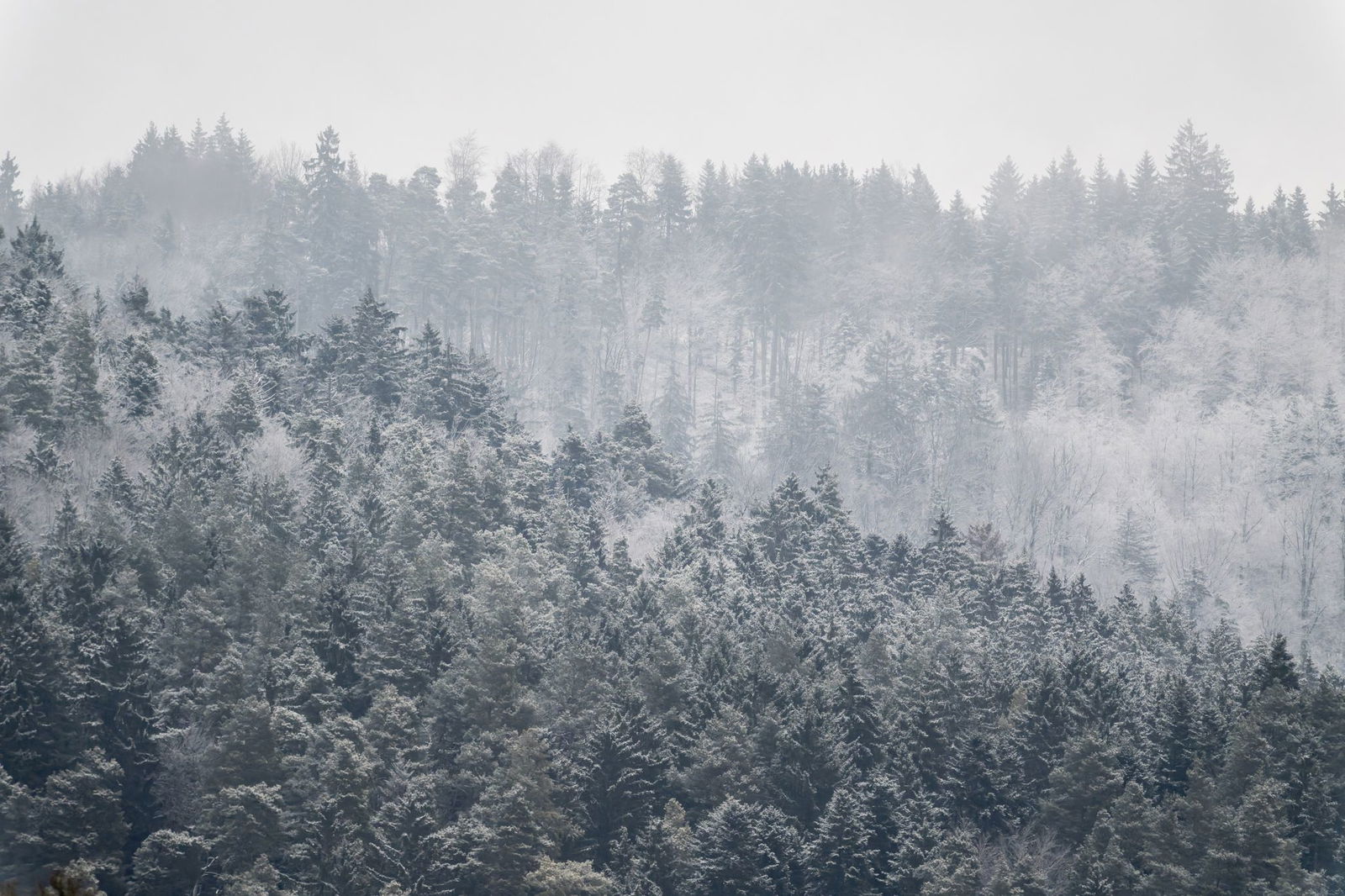 Nach den sonnigen Tagen stellt sich wieder Winterwetter ein. (Archivbild) 