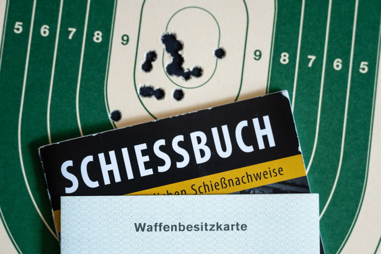 «Reichsbürger» leugnen die Existenz der Bundesrepublik Deutschland und lehnen die staatliche Rechtsordnung ab. (Symbolbild)