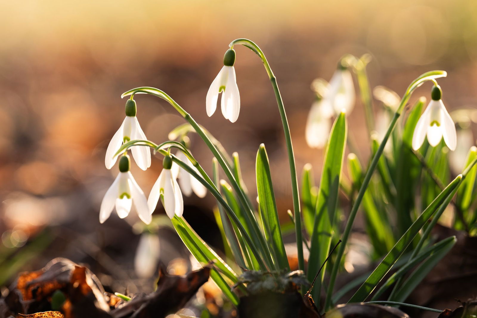 Es bleibt relativ warm, aber im Tagesverlauf könnte es auch Regen geben. (Symbolfoto)