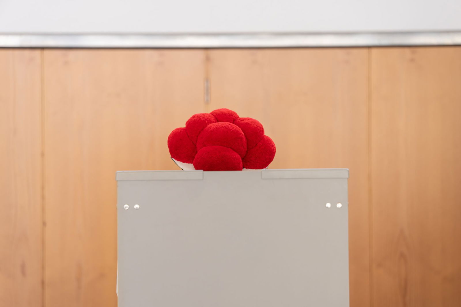 Ganz traditionell wurde im Schwarzwald abgestimmt.