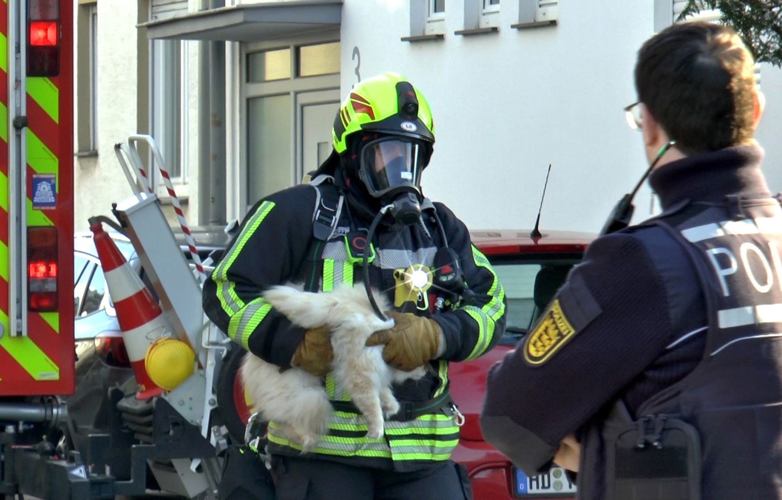 Der Feuerwehrmann hat die Katze fest im Griff