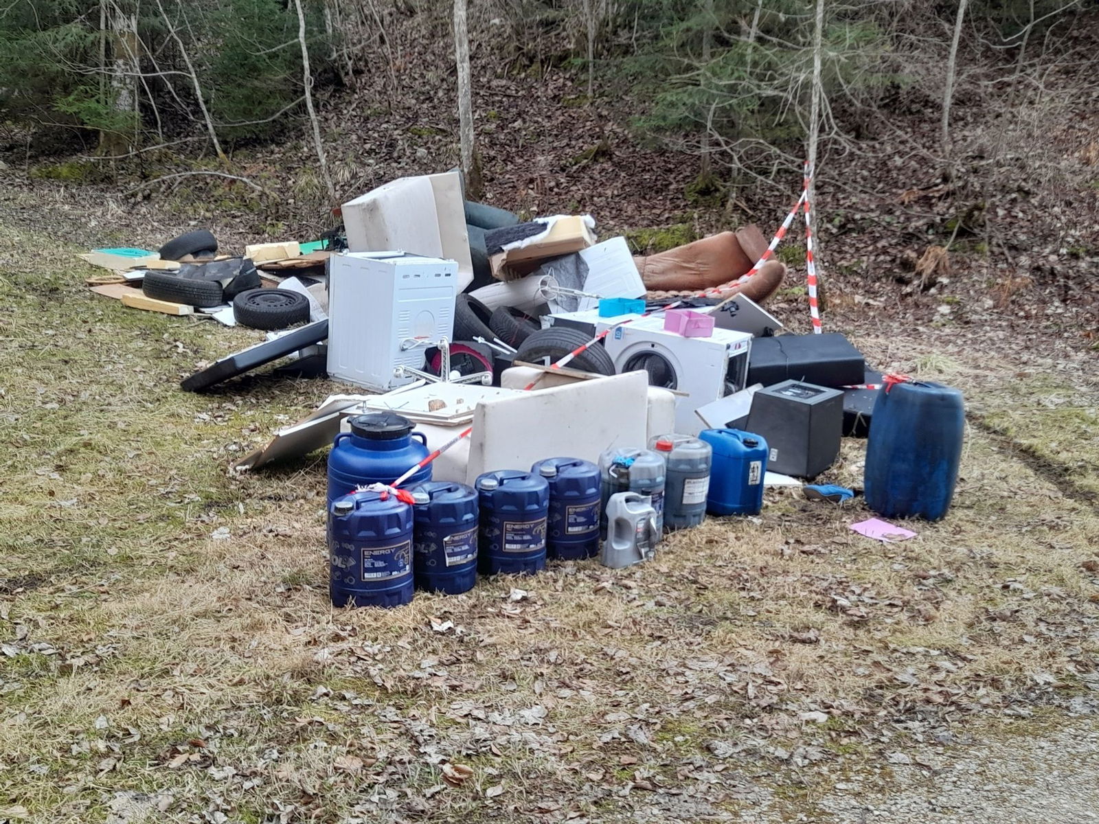 Der riesige Müllberg wurde in einem Wald abgeladen
