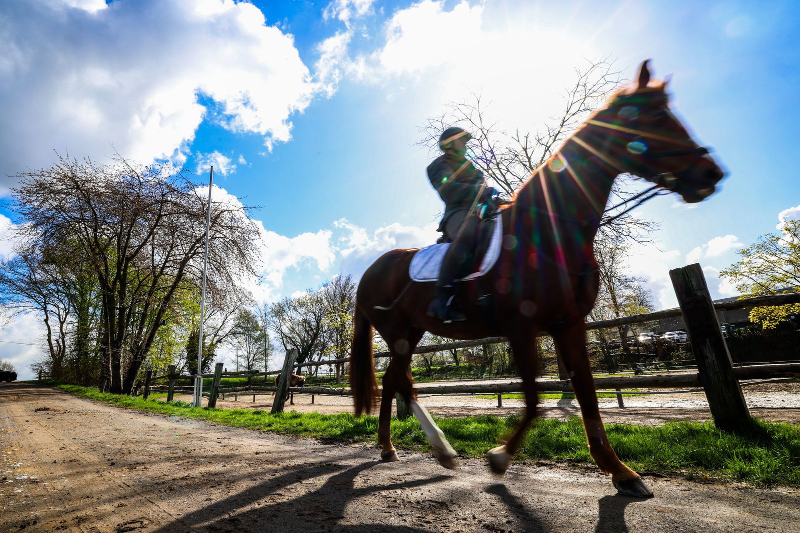 Das Wetter lockte Mensch und Tier nach draußen. 