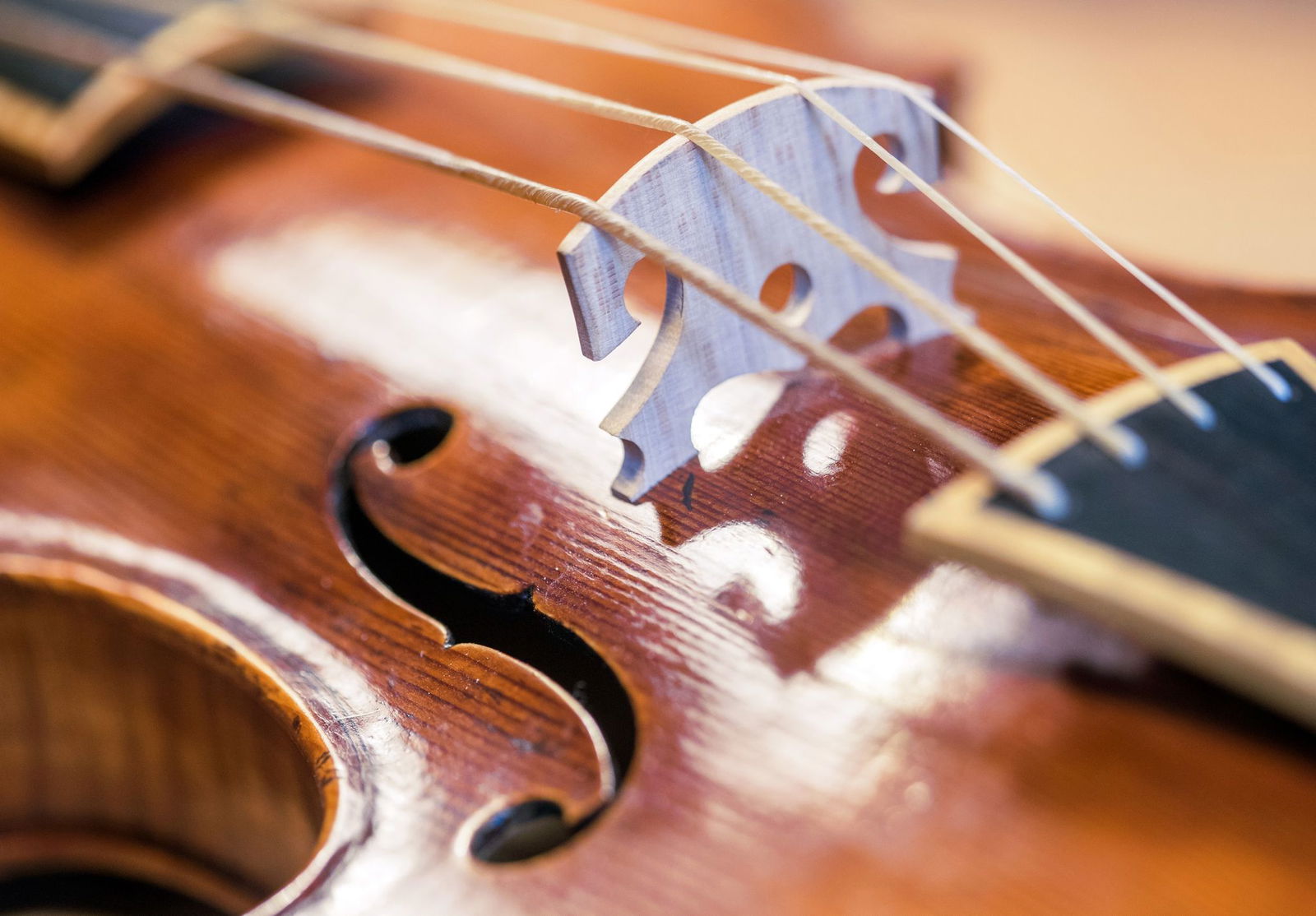 Mehr Platz für Musik: Lufthansa erlaubt ab März Musikinstrumente mit einem Summenmaß von maximal 125 Zentimetern in der Kabine. (Symbolbild)