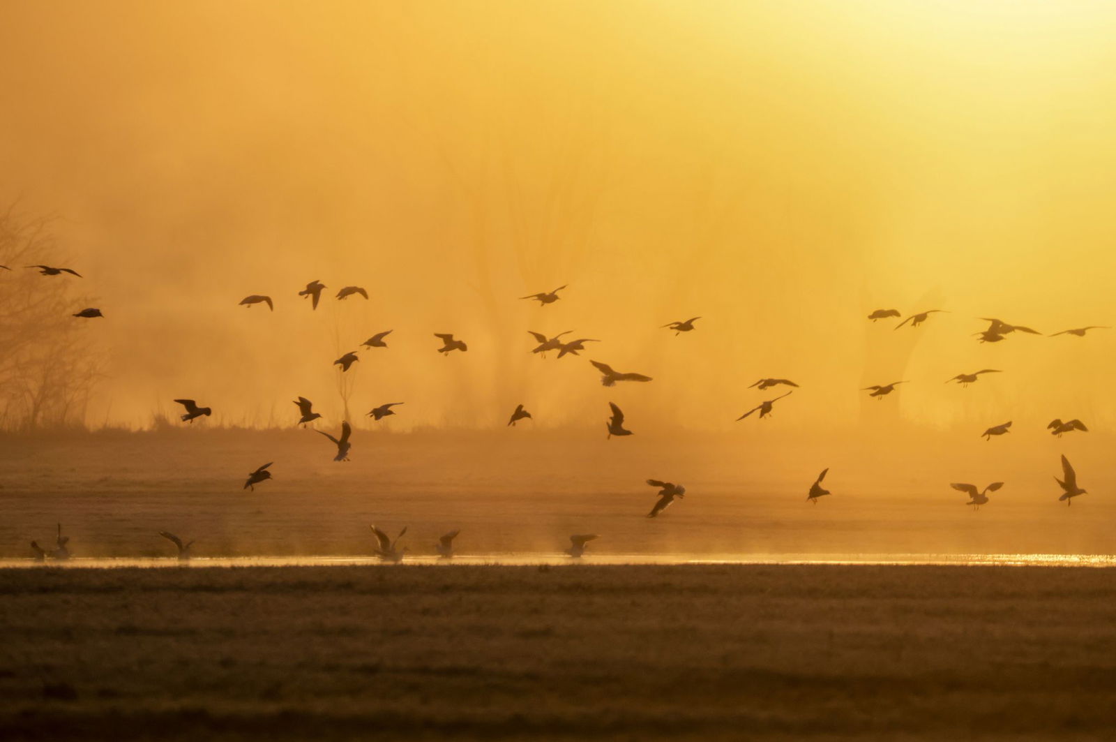 DWD: Wo am Sonntag die Sonne hervorkommen könnte. (Archivbild)