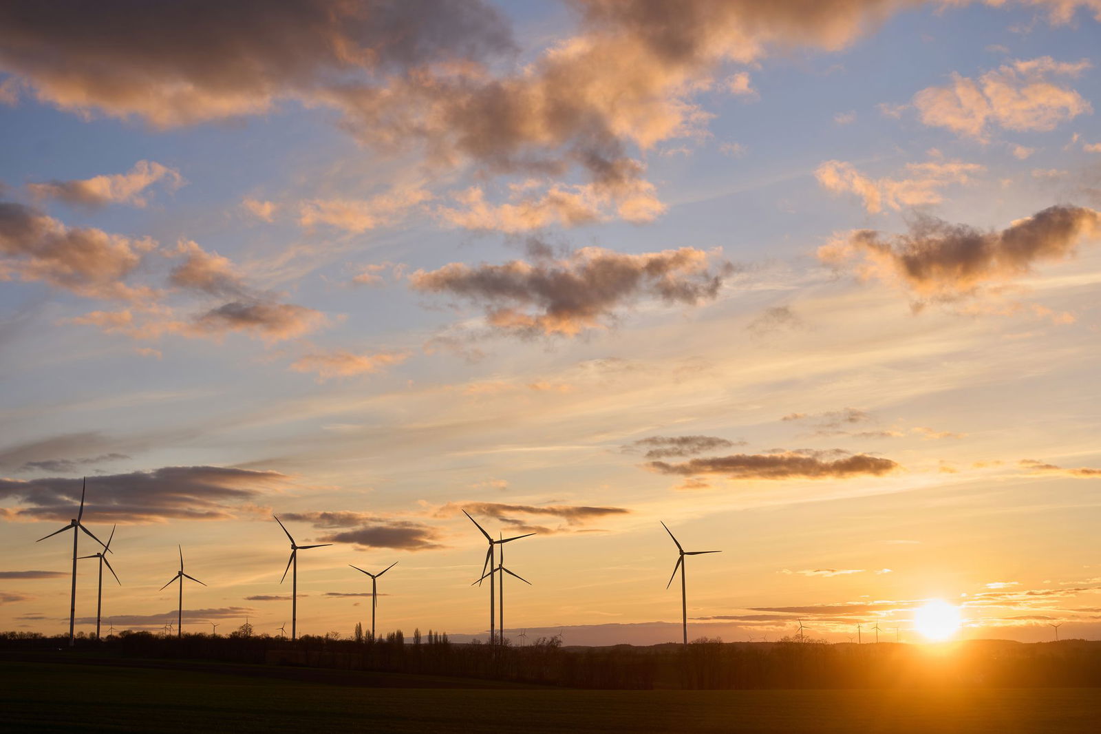 Die Sonne ist in den nächsten Tagen Stammgast. (Symbolbild)