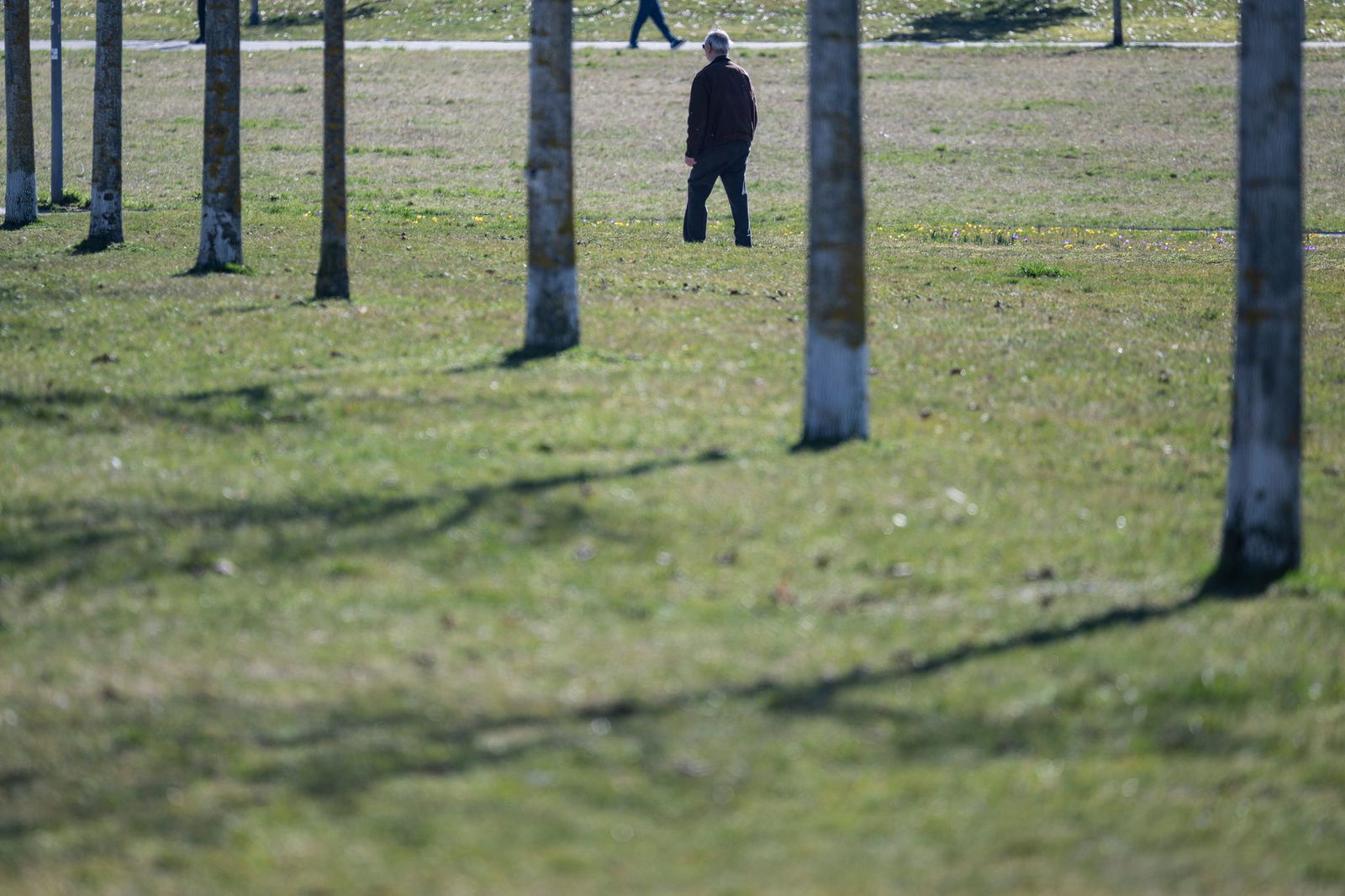 In Baden-Württemberg bleibt es Frühlingshaft. 