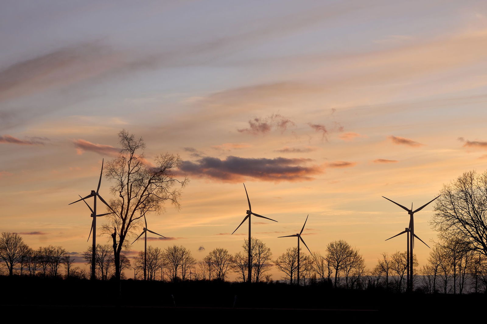 Viel Sonne und milde Tage in Rheinland-Pfalz und im Saarland erwartet. (Archivbild) 