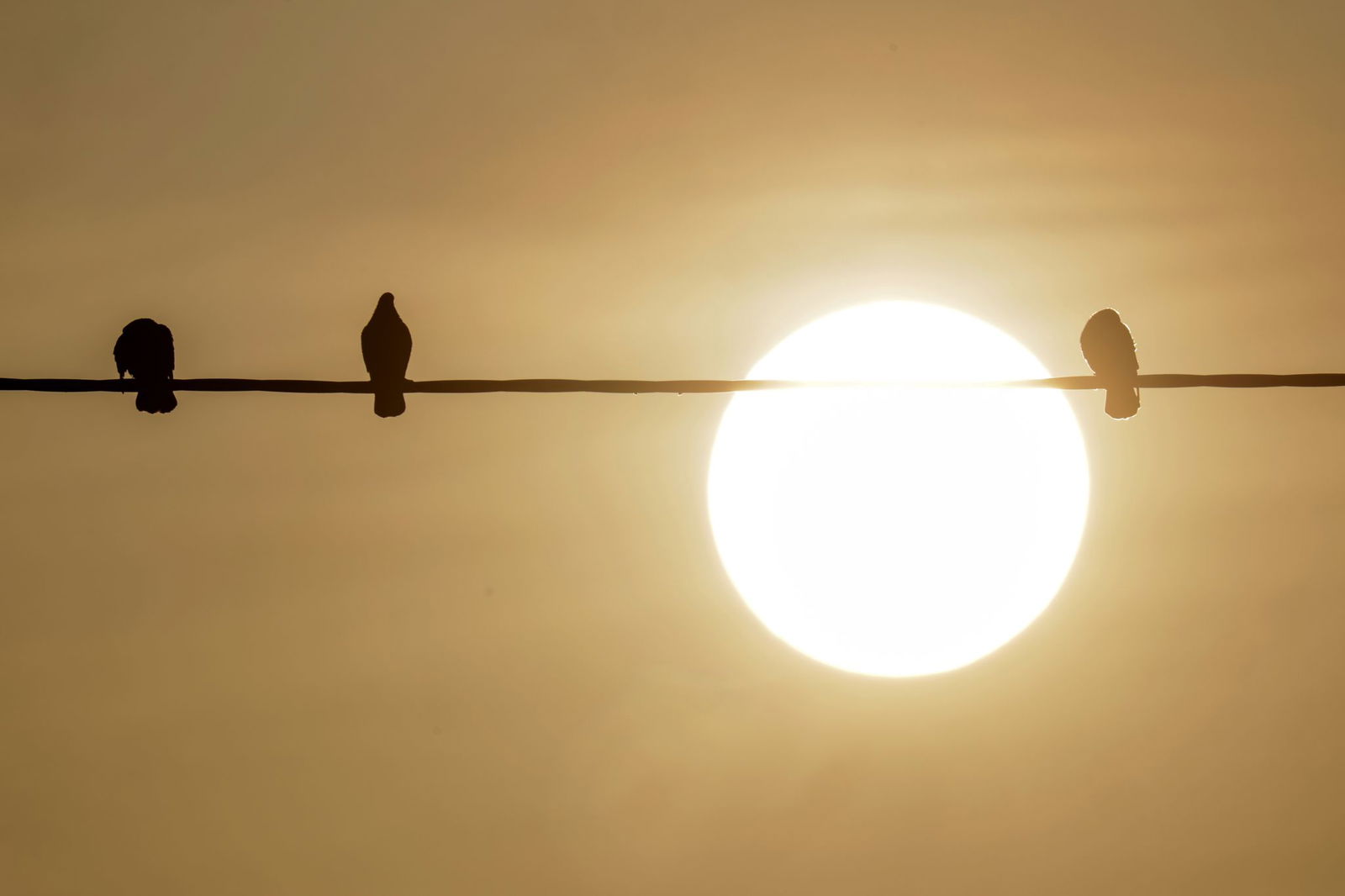 Der Saharastaub ist vor allem bei Sonnenaufgang und Sonnenuntergang gut sichtbar. 