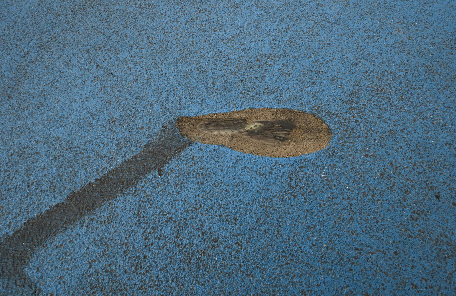 Wie hoch der Schaden ist, konnte die Stadt noch nicht sagen. 