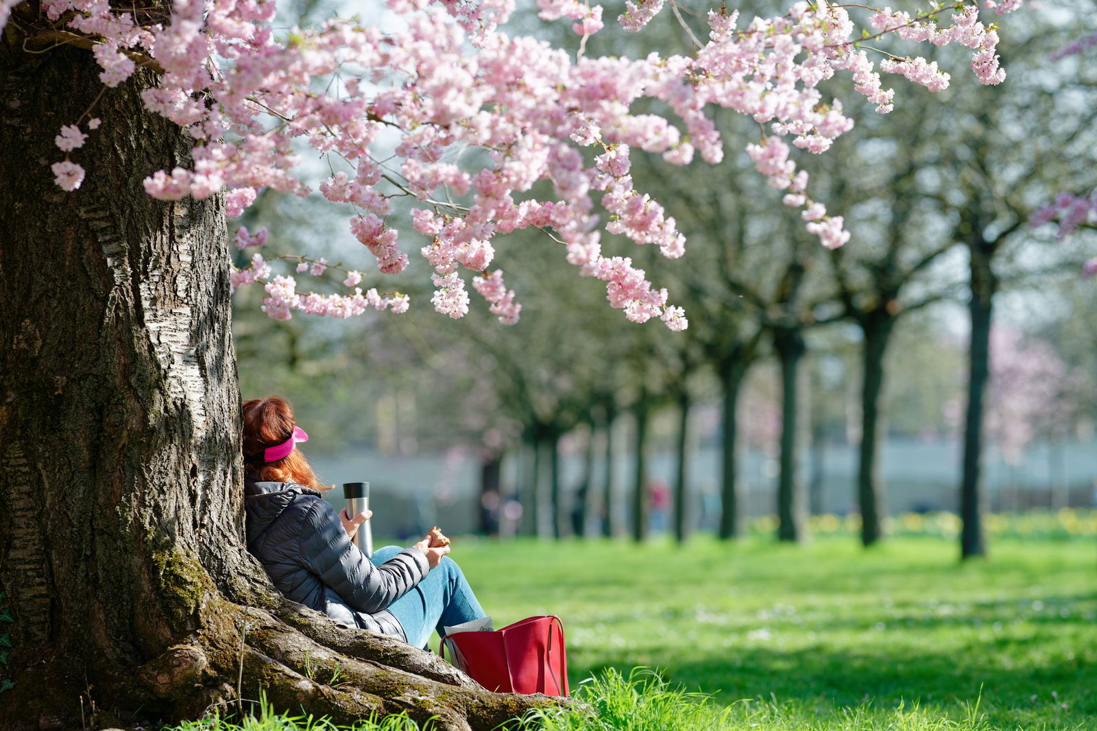 Am Sonntag dürfte es vielerorts sonnig und trocken werden. (Archivbild)