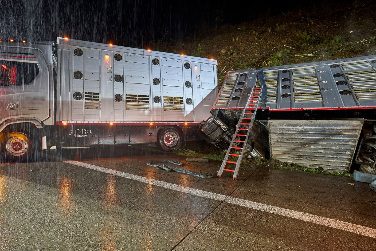 Nach dem Unfall des Tiertransporters auf der A3 wurden mittlerweile alle Rinder geschlachtet. 