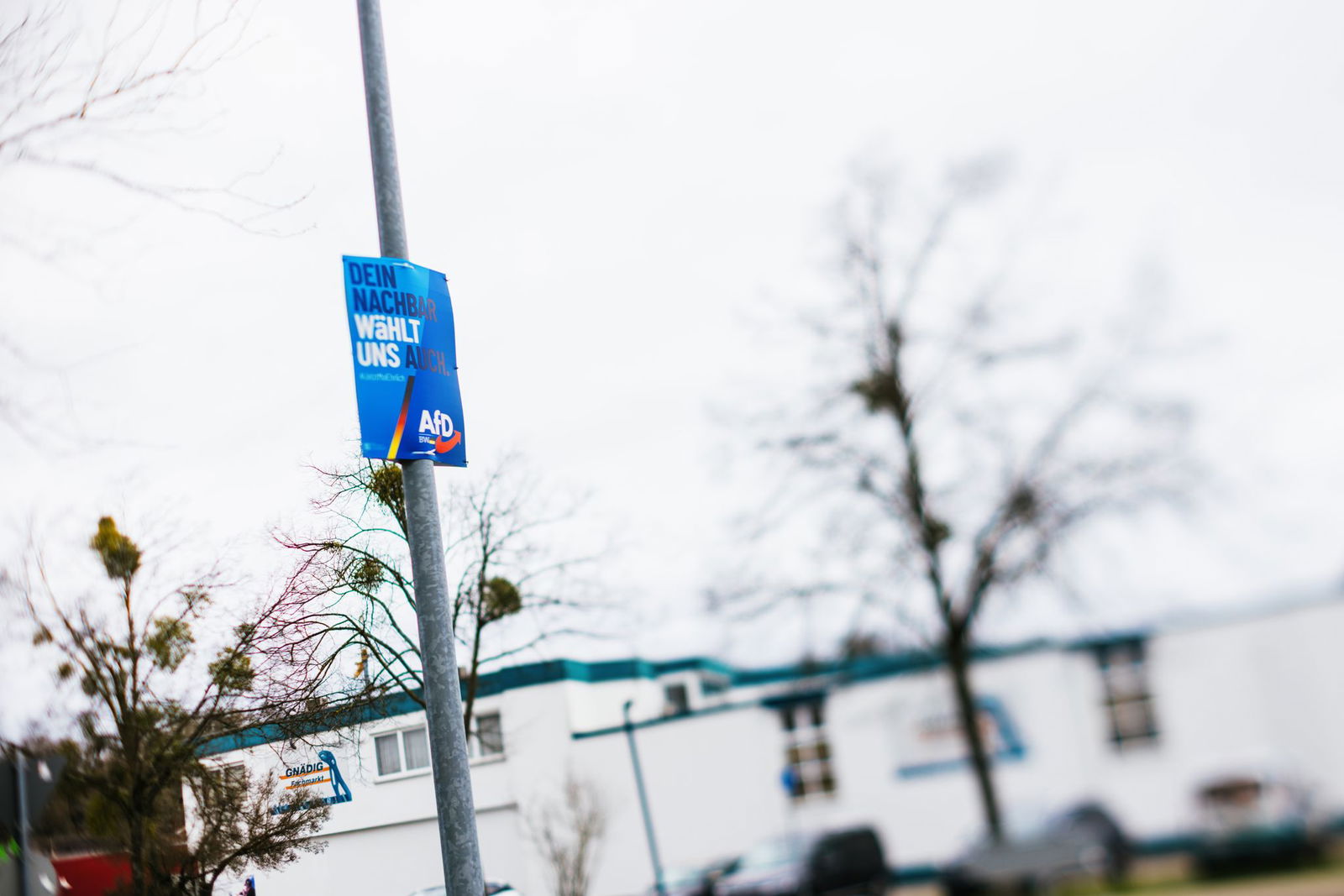 Die AfD hat in mehreren Landesteilen hohe Ergebnisse eingefahren. (Archivbild)