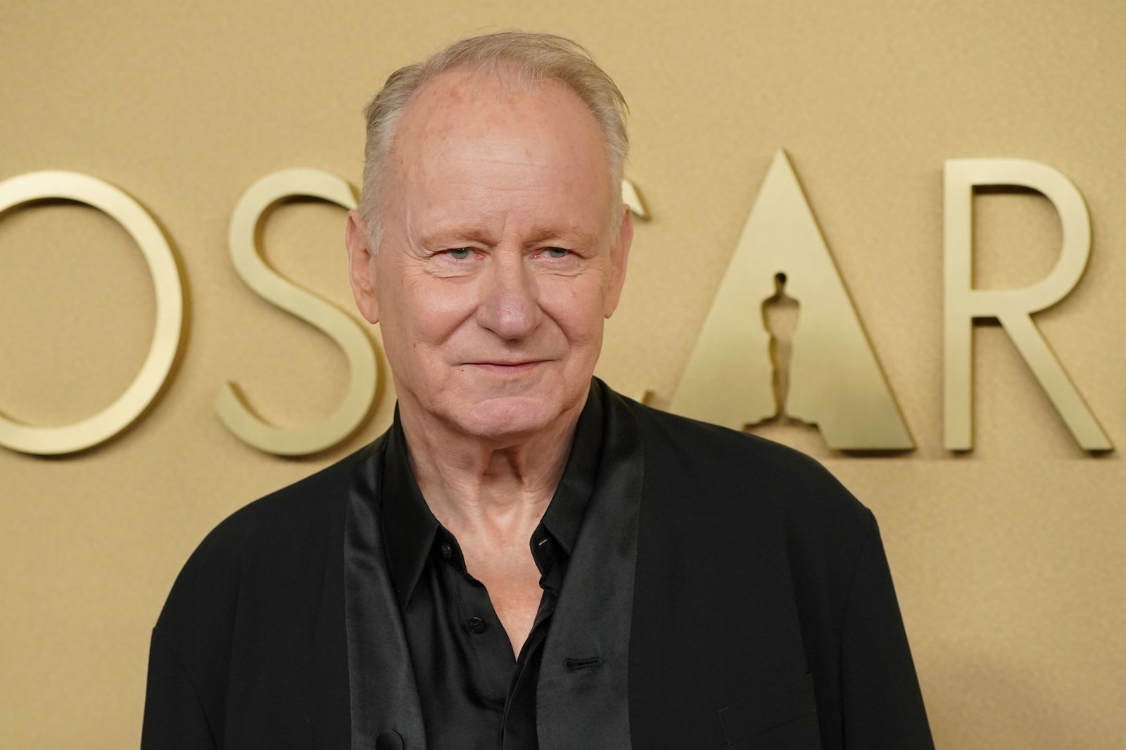 Stellan Skarsgard war bei den Oscars als bester Nebendarsteller nominiert. (Archivbild) 