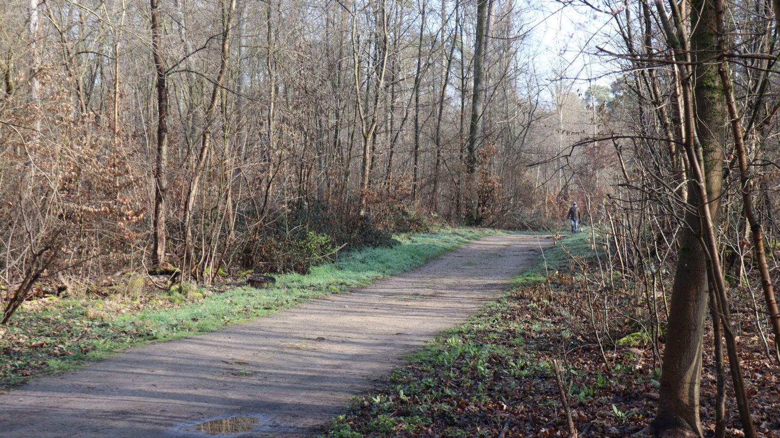 Die Ermittler haben erste Details nach dem Fund einer toten Frau in einem Wald bei Mannheim bekanntgegeben.