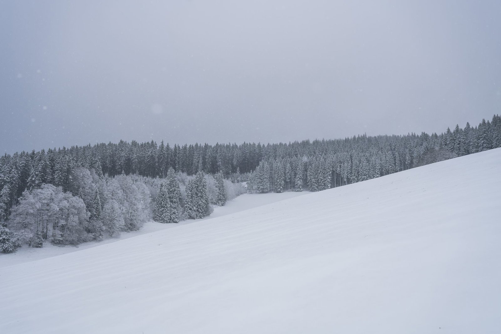 Dank Neuschnee öffnen einige Skilifte erneut. (Archivbild)