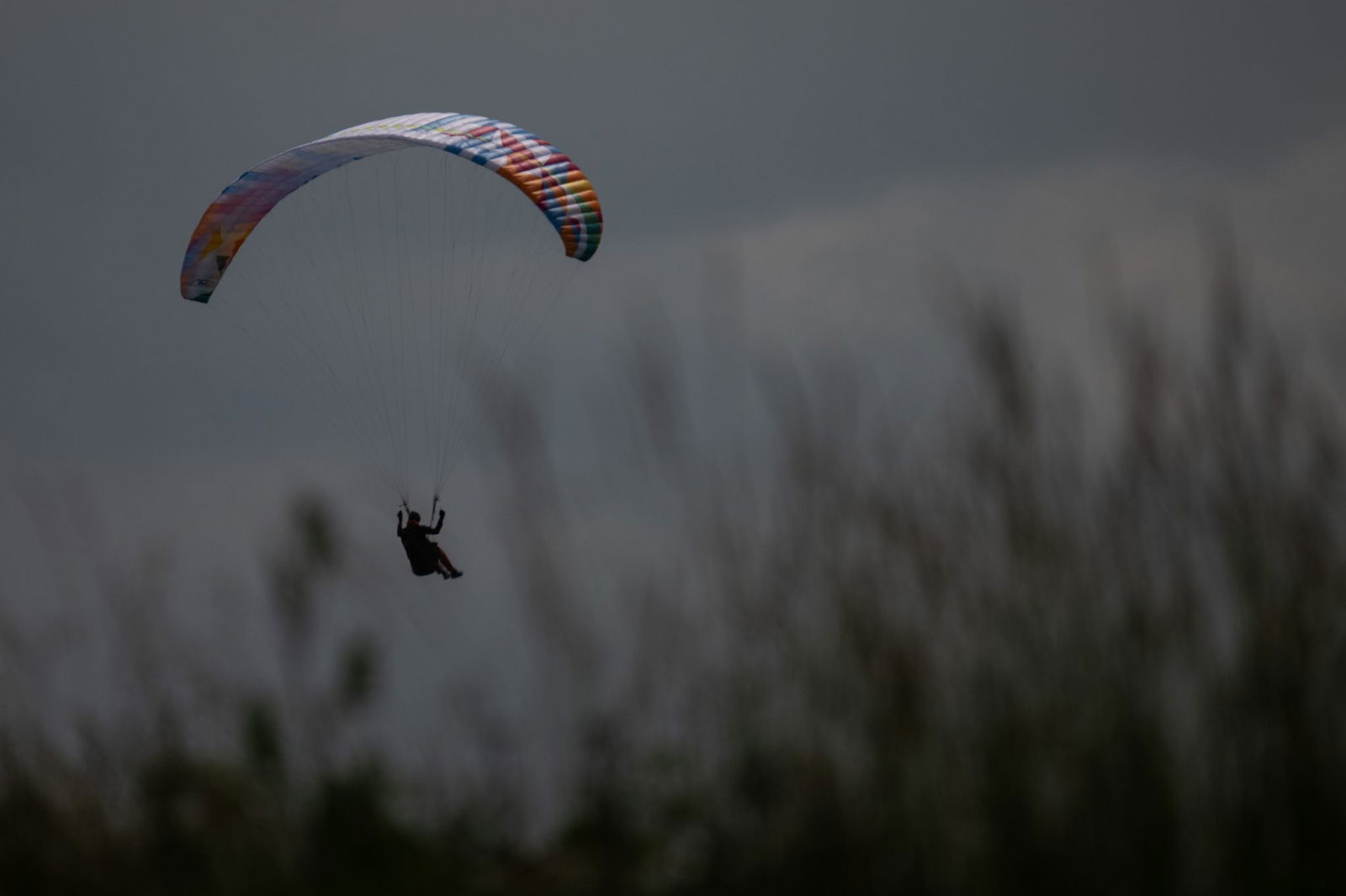 Ein Gleitschirmflieger ist bei Waldstetten in Baumkronen gelandet. (Symbolbild)
