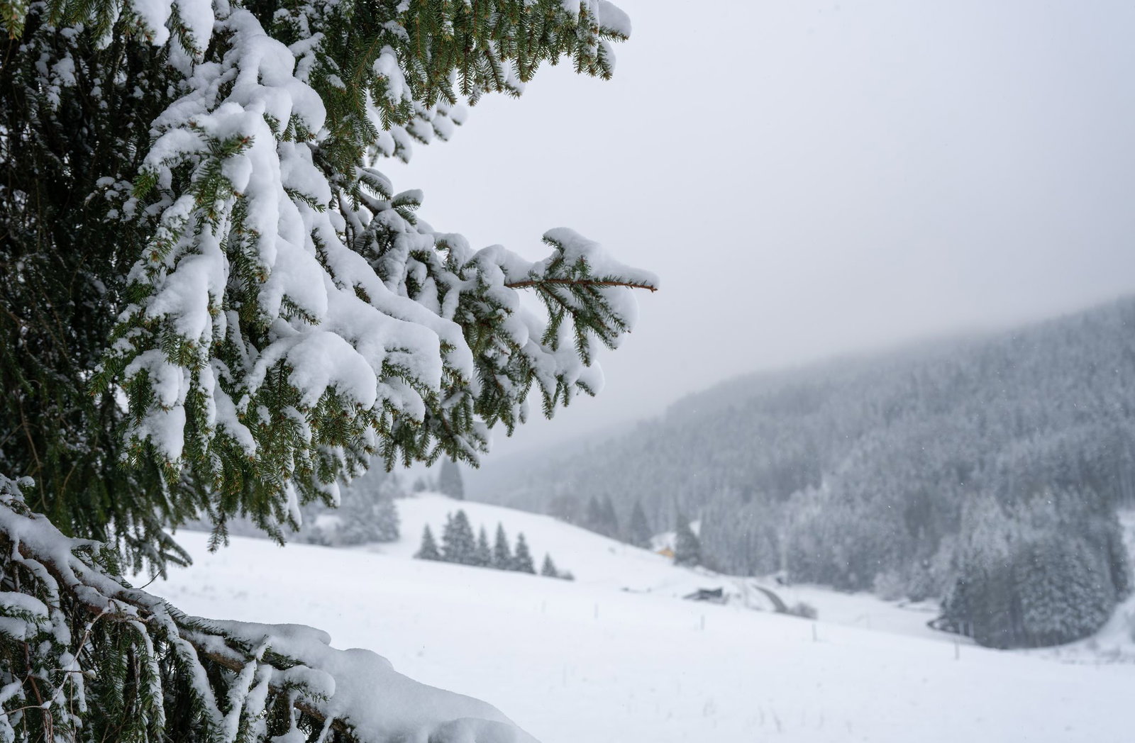 Am Wochenende können stellenweise wieder Ski und Schlitten ausgepackt werden.